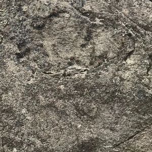 Meet your Posher, Collin